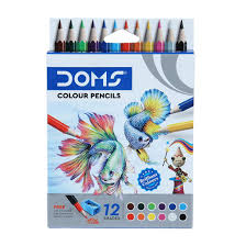 DOMS Colour Pencil 12 Shades short